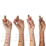 Coleção Completa Blushes VIV