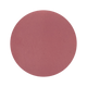 Lipstick Rose